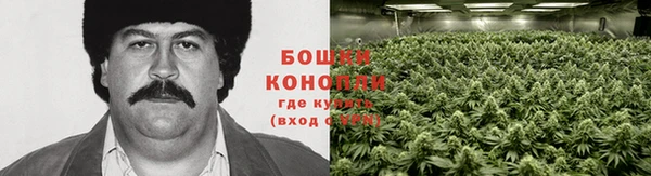 винт Няндома