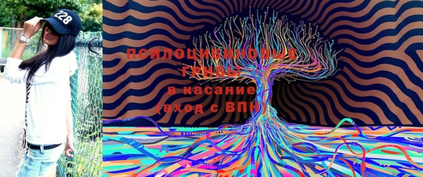 трава Нягань